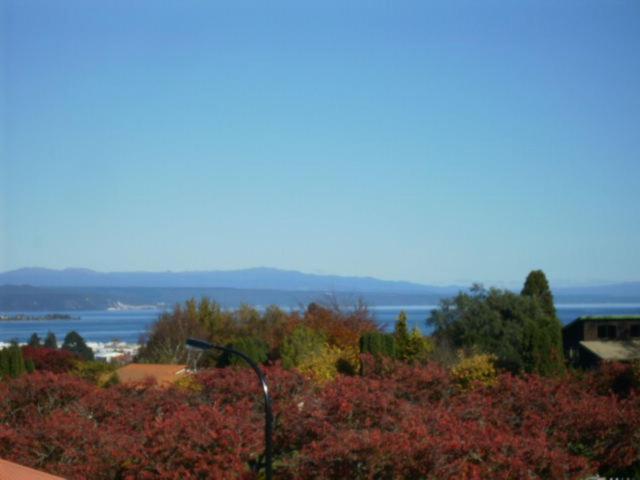 Falls Chateau Taupo Oda fotoğraf